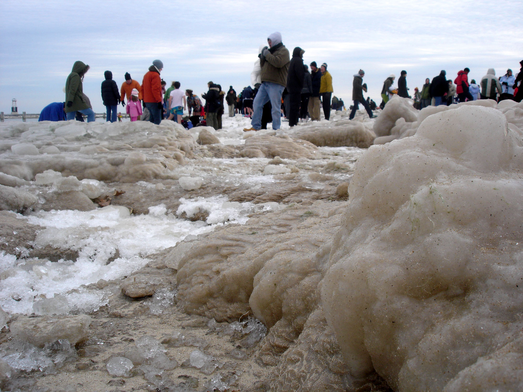 Polar Bear Plunge in Lake Michigan, Chicago