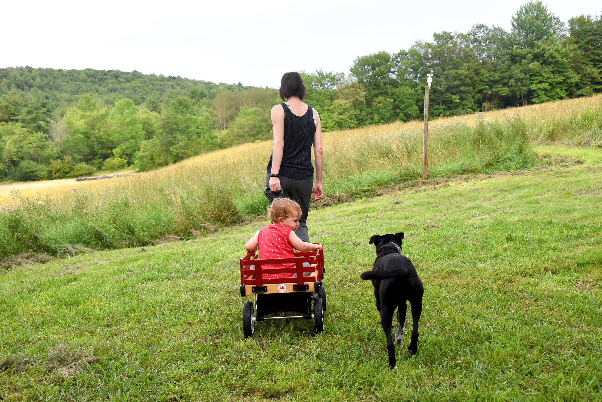 Brackney, PA